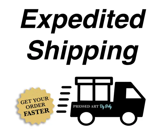 Premium Shipping